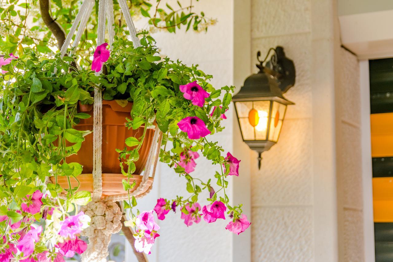 Apartments Villa Camellia - Adults Only ซูเปตาร์ ภายนอก รูปภาพ