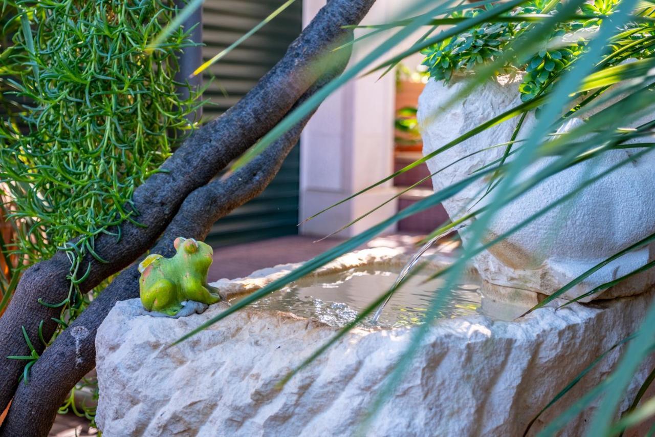 Apartments Villa Camellia - Adults Only ซูเปตาร์ ภายนอก รูปภาพ